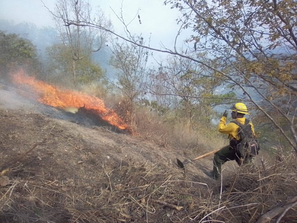 La Brigada Forestal Municipal reporta un 100% de control y un 95% de liquidación del incendio forestal
